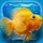 iQuarium icon