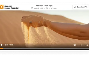 Icecream Screen Recorder screenshot 2