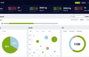 Real-time Analytics