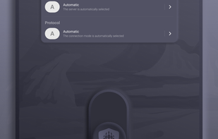 Bear VPN screenshot 2