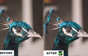 AVCLabs Photo Enhancer AI screenshot 1