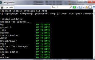 Pint screenshot 1