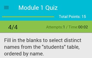 Learn SQL screenshot 1