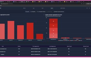 Memcyco’s phishing detection dashboard, highlighting spoofed domain activity over time. The bar charts display monthly trends in spoofing logs and aggregate domain spoofing incidents, with mmcobank.com being the primary target. 