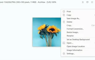 AceView screenshot 3