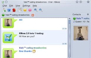 Kmess screenshot 1