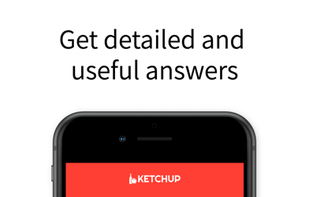 Ketchup.AI screenshot 1