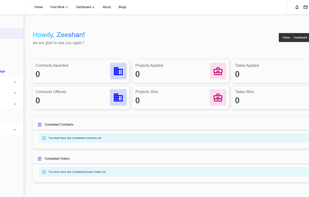 Realancer screenshot 2