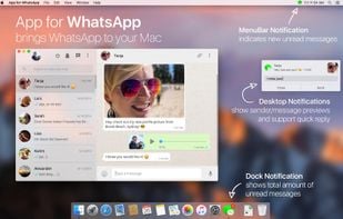 App for WhatsApp screenshot 1