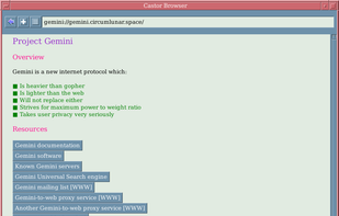 Castor Browser screenshot 1
