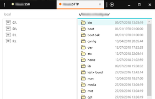 Basic SFTP explorer
