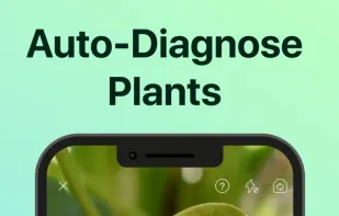 PictureThis screenshot 3