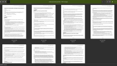 Custom dark green KDE Theme and PDF Arranger, showing the german "Law of Assembly"