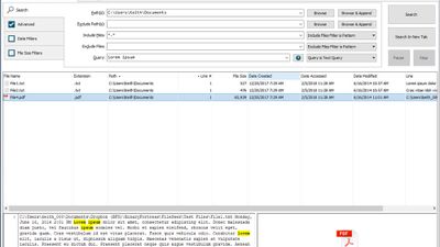 Main FileSeek window
