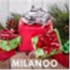 Milanoo icon
