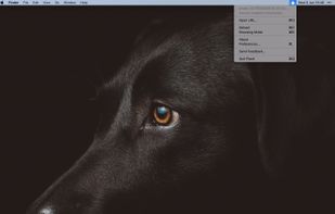 Plash screenshot 1