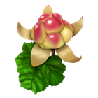 Moroshka icon
