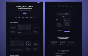 Polish and performance. This balances clean aesthetics with functional sections. Perfect for tools, dashboards, and data-driven platforms.