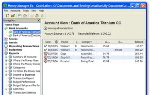 MoneyManager Ex screenshot 1