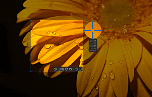 Ashampoo Snap screenshot 1