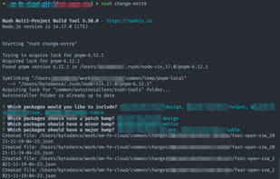 Rush Monorepo screenshot 1