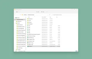 Explorer integration