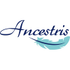 Ancestris icon