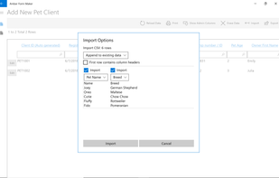 Amber Form Maker screenshot 2
