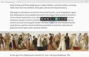 Calmly Writer screenshot 1