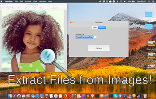The Hider screenshot 1