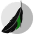 Crow Translate icon