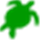 Turtle Player icon
