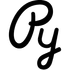 Py icon