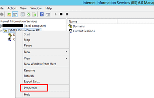 Microsoft SMTP Server screenshot 2