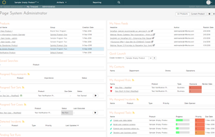 SpiraTeam - my page view