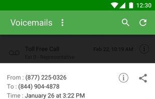 Grasshopper Virtual Phone screenshot 2