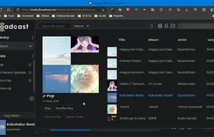 iBroadcast screenshot 1
