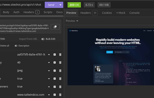 Screenshot capturing with REST client 'Insomnia' 