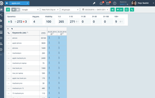Topvisor screenshot 1