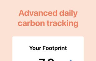 LiveGreen screenshot 2