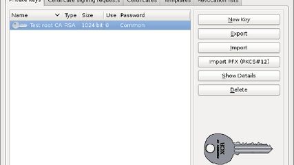 xca - X Certificate and Key management screenshot 1