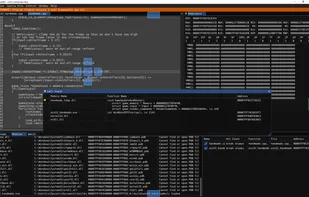RemedyBG screenshot 1