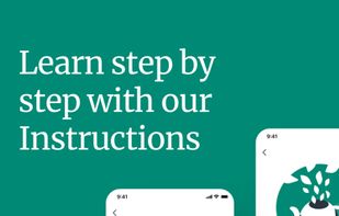 Steeped screenshot 1