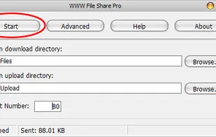 Step 2: Click the 'Start' button.