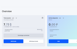 Visionwallet screenshot 1