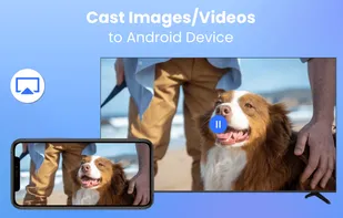 AirCast: Cast to TV screenshot 2