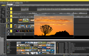 Wings VIOSO screenshot 1