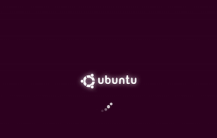 "Spinfinity" theme on Ubuntu