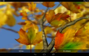 Autumn Leaves in HD Gyro 3D screenshot 3