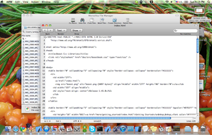 Moroshka screenshot 2